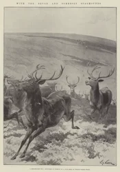 Mit den Devon und Somerset Staghounds